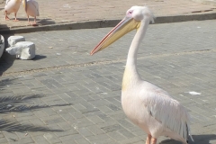 Namibia