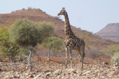 Namibia