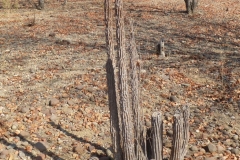 Namibia
