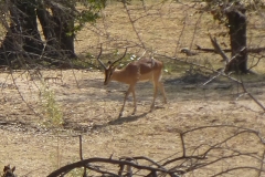 Namibia