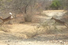 Namibia