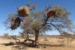 Namibia