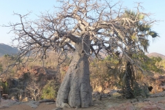 Namibia