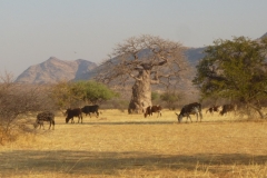 Namibia
