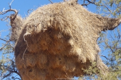 Namibia