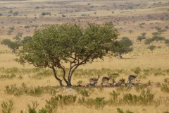 Namibia