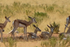 Namibia