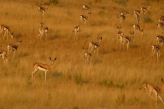 Namibia