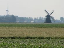 Olanda