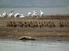 Omo River Etiopia