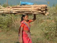 Orissa