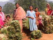 Orissa