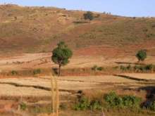 Orissa