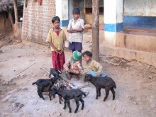 Orissa