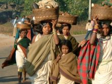 Orissa