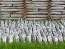 Polonia