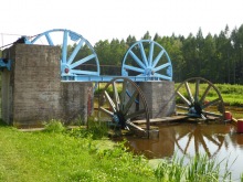 Polonia