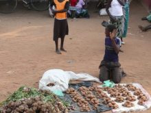 Malawi