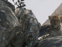 Tanzania