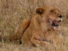 Tanzania