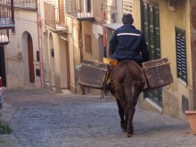 Sicilia