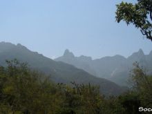 Socotra