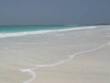 Socotra
