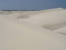 Socotra