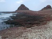 Socotra