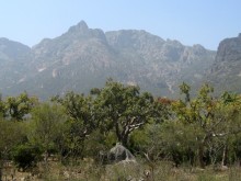 Socotra