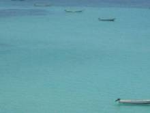 Socotra
