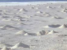 Socotra