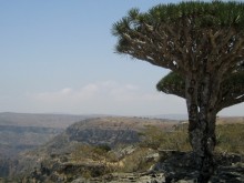 Socotra