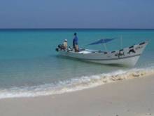 Socotra