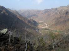 Socotra