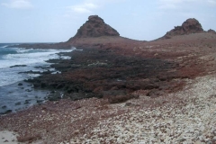 Socotra