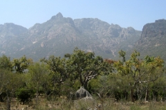 Socotra