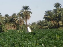 Sudan