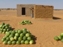 Sudan
