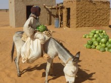 Sudan