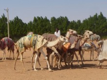 Sudan