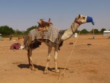 Sudan
