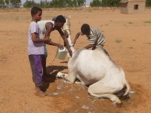 Sudan