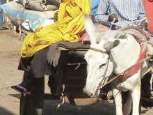 Sudan