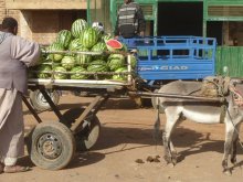 Sudan