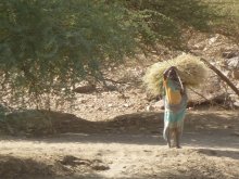 Sudan