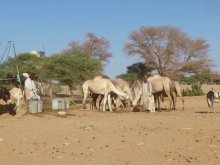 Sudan