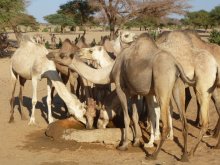 Sudan