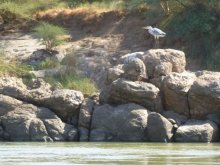 Sudan
