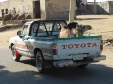 Sudan
